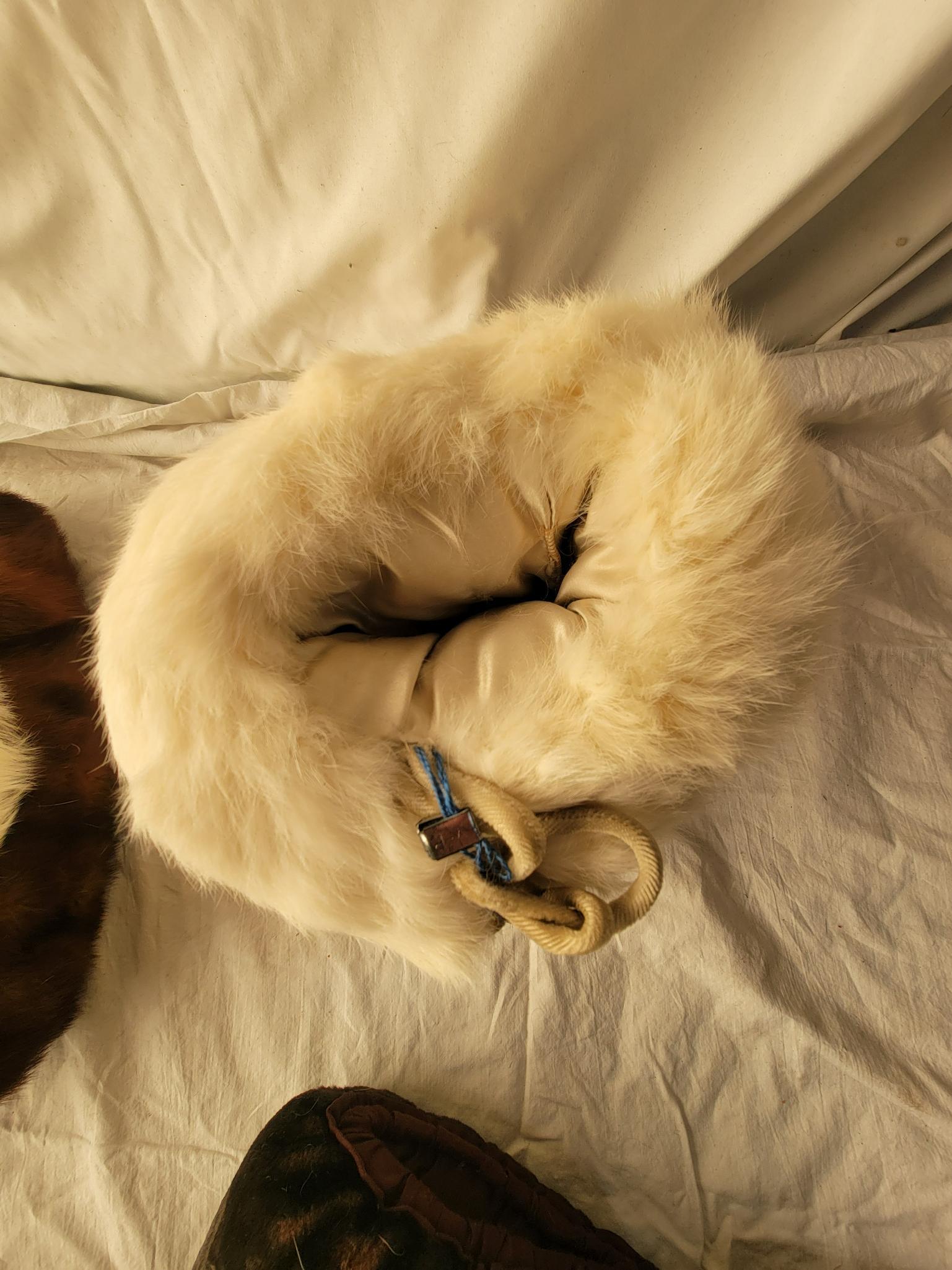 2 Fur Muffs, Hat and Collar