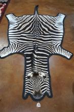 Brand New AAA+ African Zebra Rug Taxidermy Mount