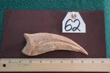 Awesome Spinosaurus egypticus Authentic Dinosaur Fossil Hand Claw