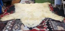 Pre-Marine Mammal Act Vintage Polar Bear Rug Taxidermy Mount