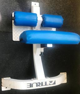 Misc Exercise Equipment/ True Brand