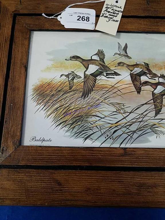 Wildfowl behind glass woodframed signed art