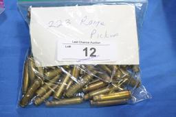 Small Bag of .223 Range Pickup