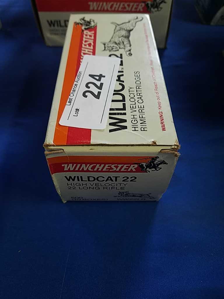 500ct Winchester Wildcat .22lr