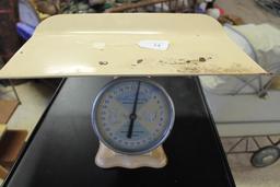 American Family Nursery Scale