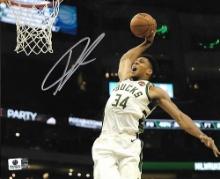 Giannis Antetokounmpo Milwaukee Bucks Autographed 8x10 Photo GA coa