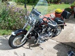 1995 Harley Fatboy