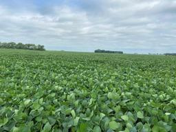 80 +/- Acres Moody County, SD Land
