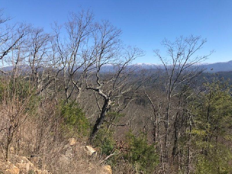 ABSOLUTE -Lot 1 - 5626 Abrams View Trail, Tallassee, TN, Overlook at Montva