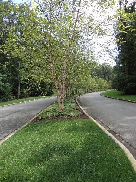 ABSOLUTE -Lot 11 in Tennessee National S/D, 2291 Old Dogwood Trail, Loudon,