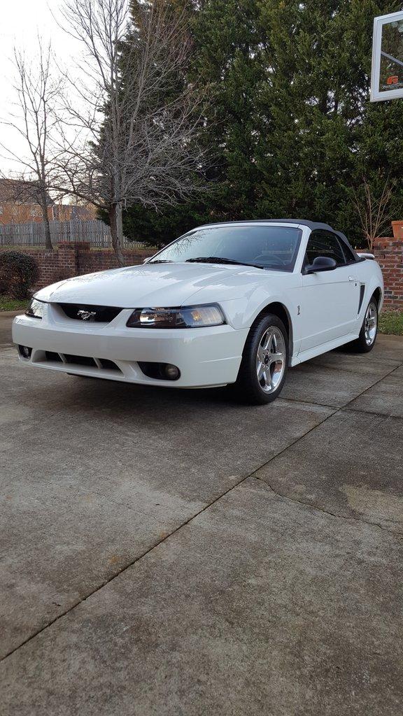 2001 Ford Mustang SVT Cobra