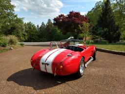 2007 Homemade 1966 Cobra Replica by Shamrock