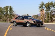 1979 Ford Mustang Pace Car