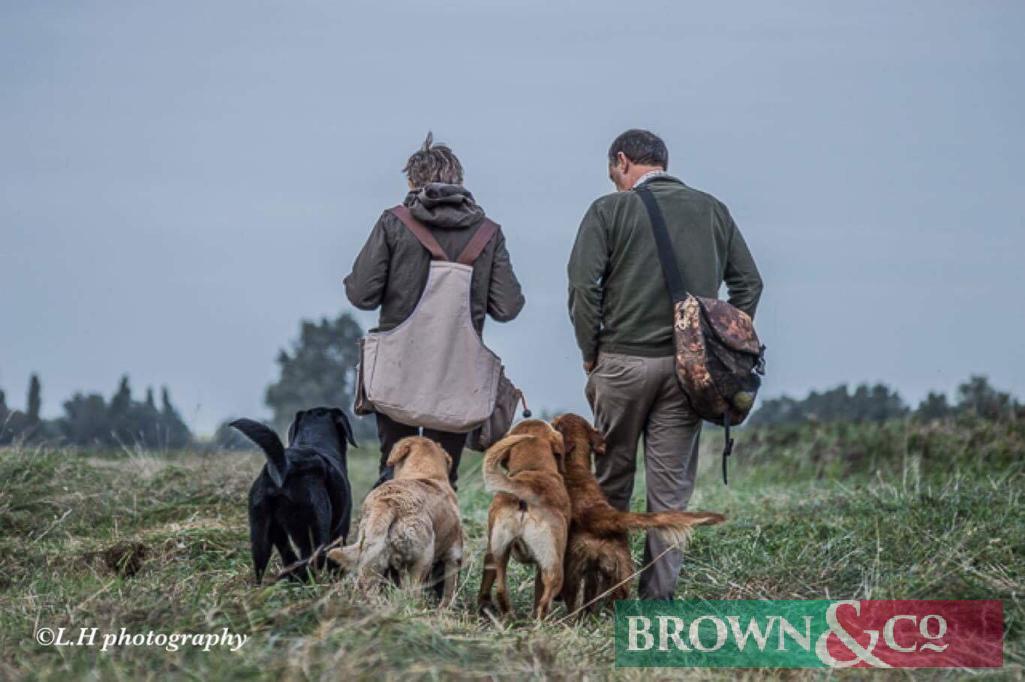 Six 1-2-1 gundog training sessions with Tina Habbin of Kayteens Gundogs at PE15 0TW. Kindly donated