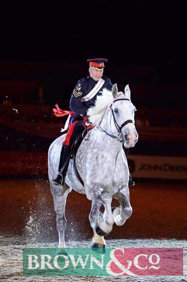 A day for two people learning to drive a HOYS ridden winning heavy horse including show preparation