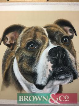 One Head/Shoulder 24cm x 35cm pencil portraiture of your pet from a photo, unframed. Further details