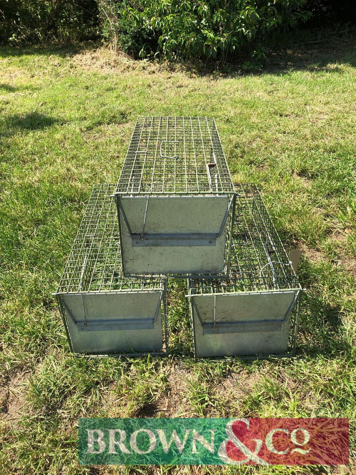 Quantity rabbit traps