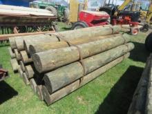 FENCE POSTS 20 TIMES THE BID