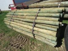 FENCE POSTS - 100 TIMES THE BID