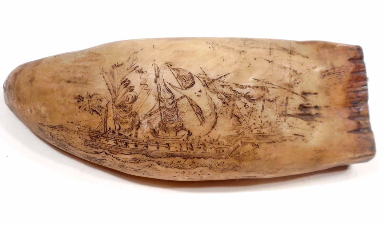 US CONSTITUTION CAPTURING THE FRIGATE GUENIVERE SCRIMSHAW WHALE TOOTH - RESIN