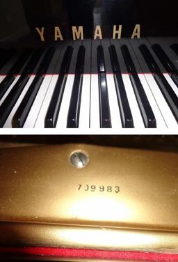 Insurance Claim: Yamaha G3 Grand Piano