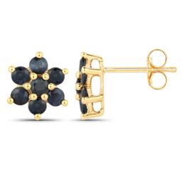 10KT Yellow Gold 0.84ctw Blue Sapphire Earrings