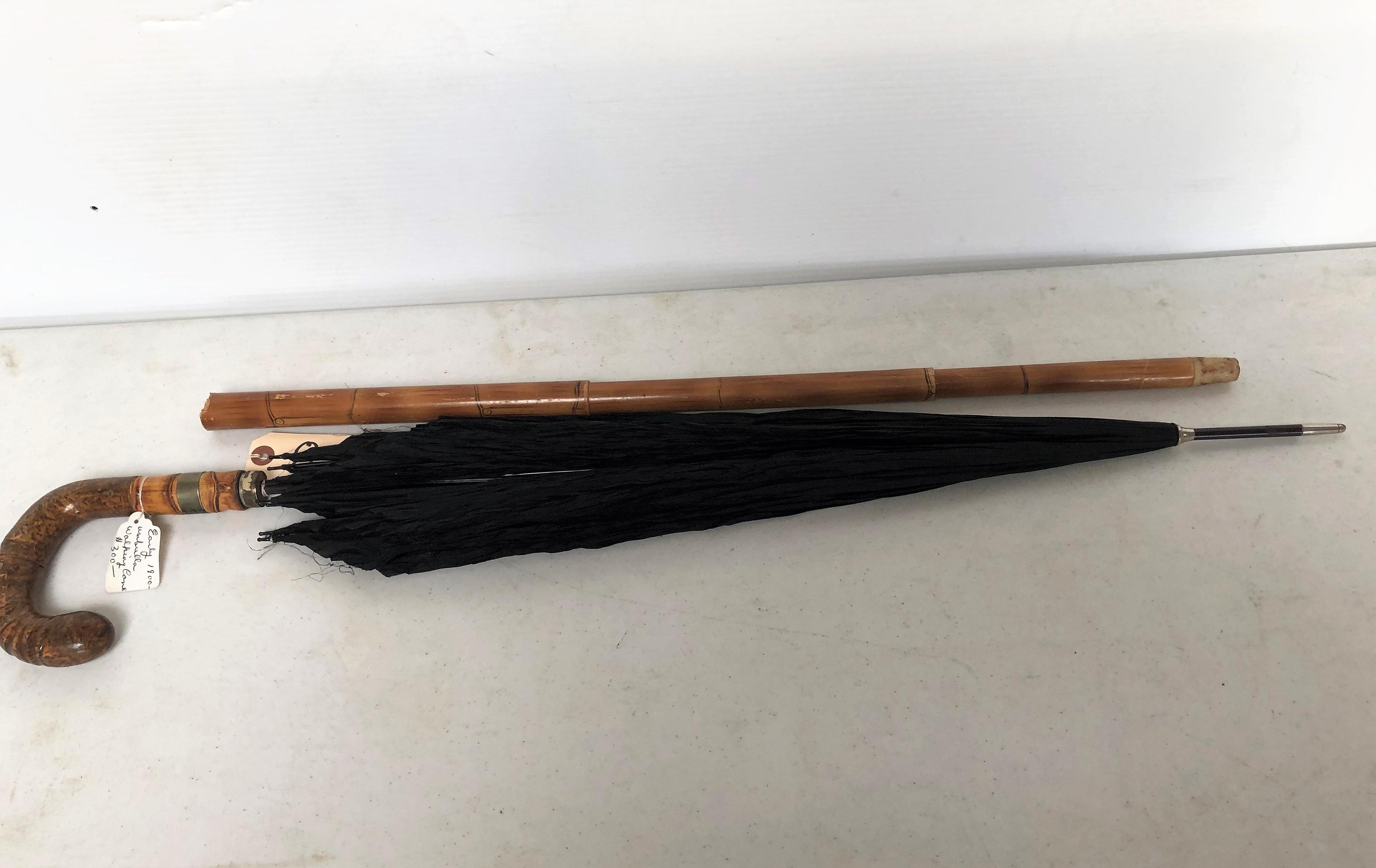 Tusk Handled Cane