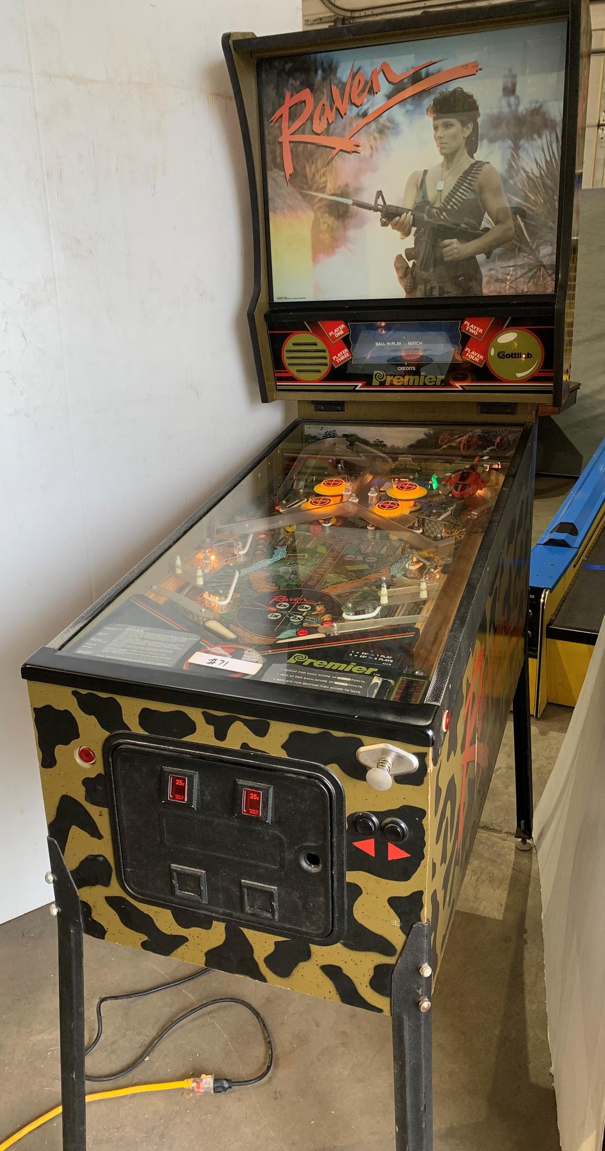 Raven Pinball Game By Gottlieb