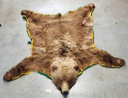 Large Brown Bear Rug Mount