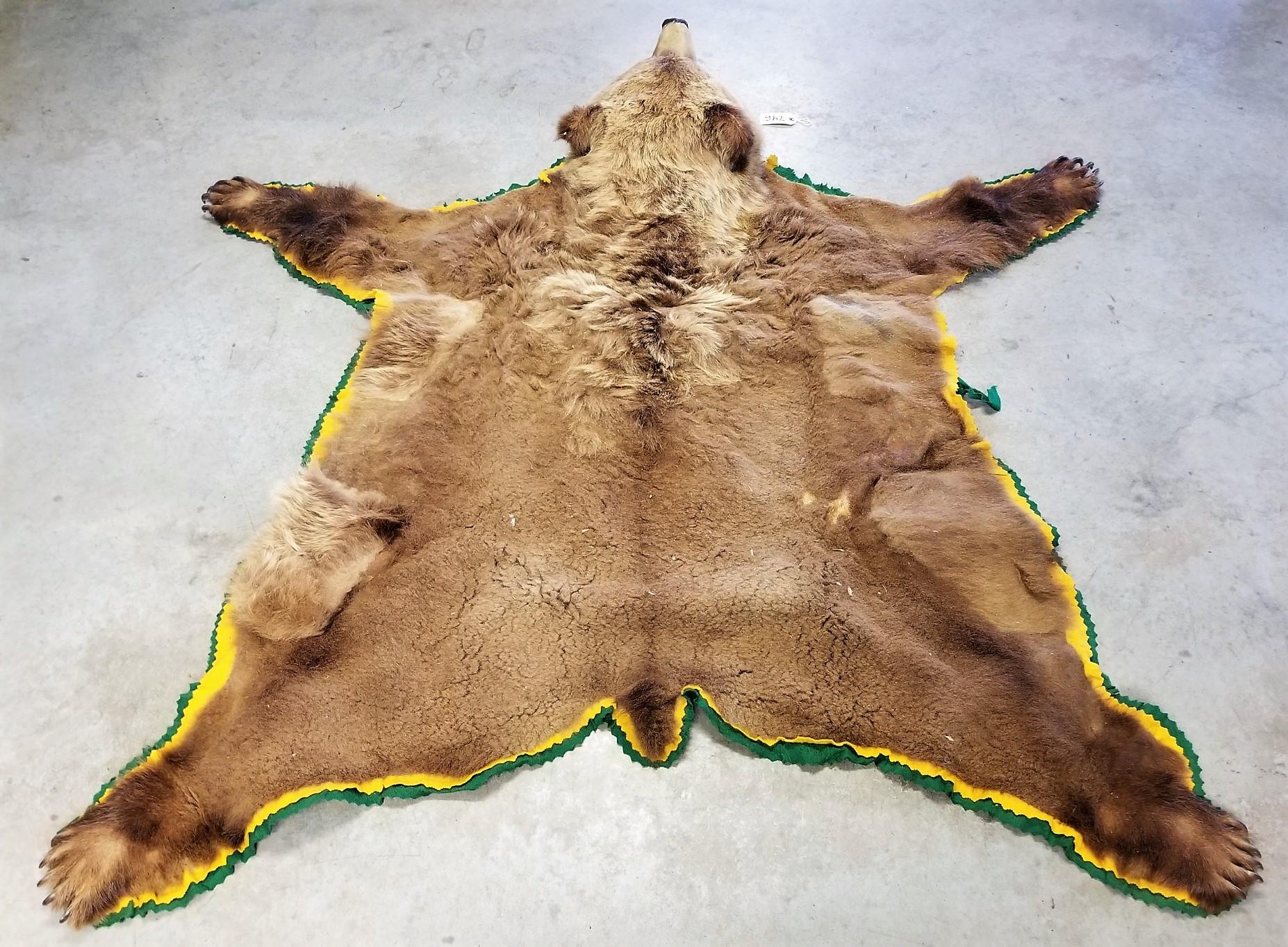 Large Brown Bear Rug Mount