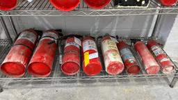 Contents Of Shelf -fire Extinguishers