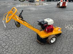 2022 Carlton 900W Walk Behind Stump Grinder