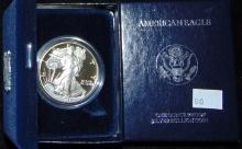 1994 Proof Silver Eagle.