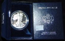 1995 Proof Silver Eagle.