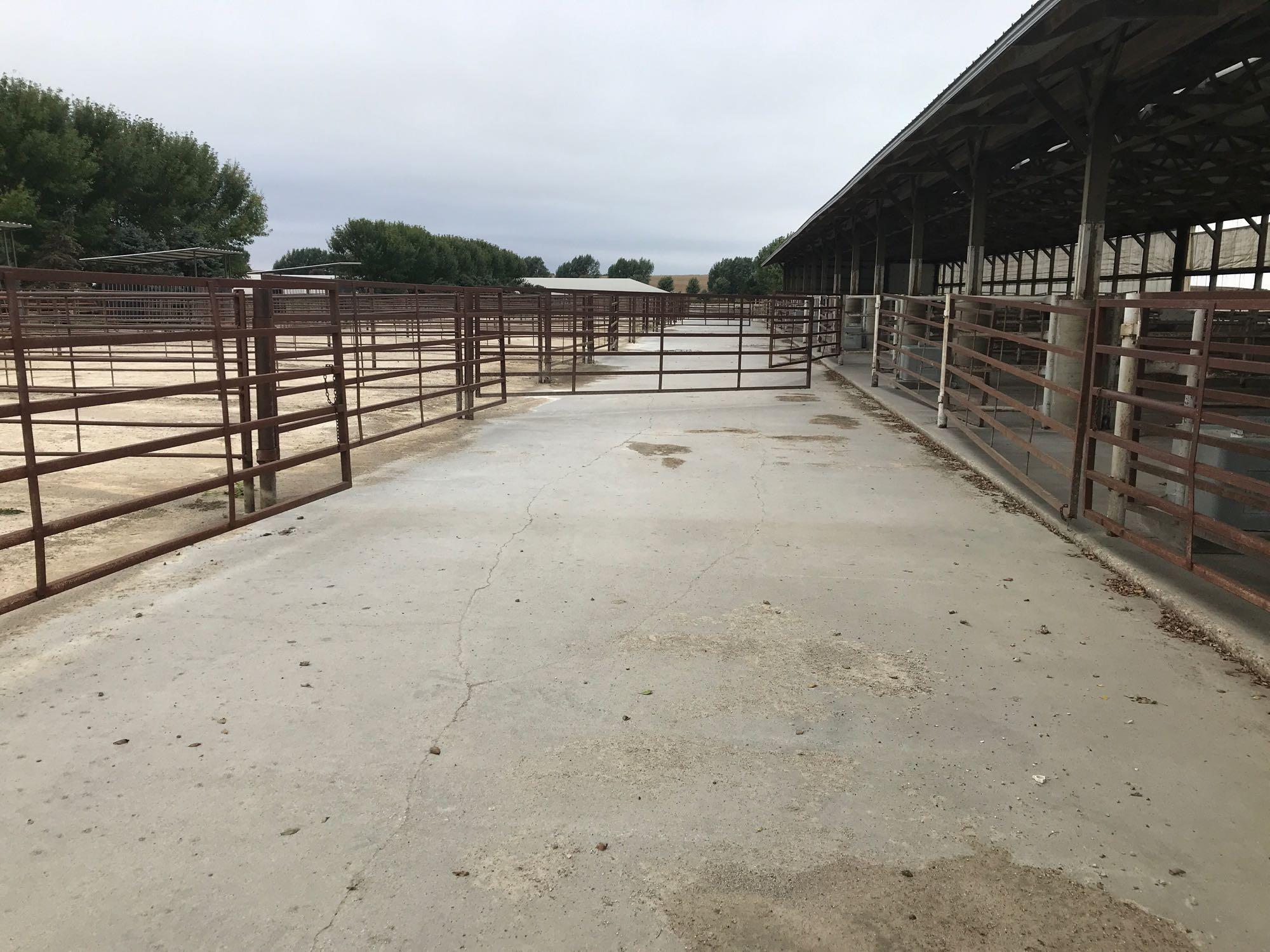 3.44 Surveyed Acres with 46' x 300' Cattle Facility and Office.