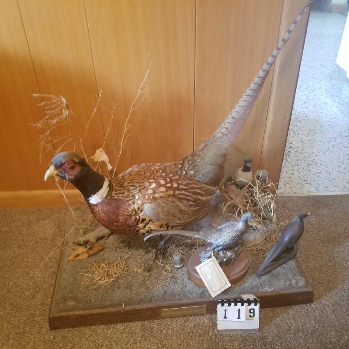 Mounted Pheasant