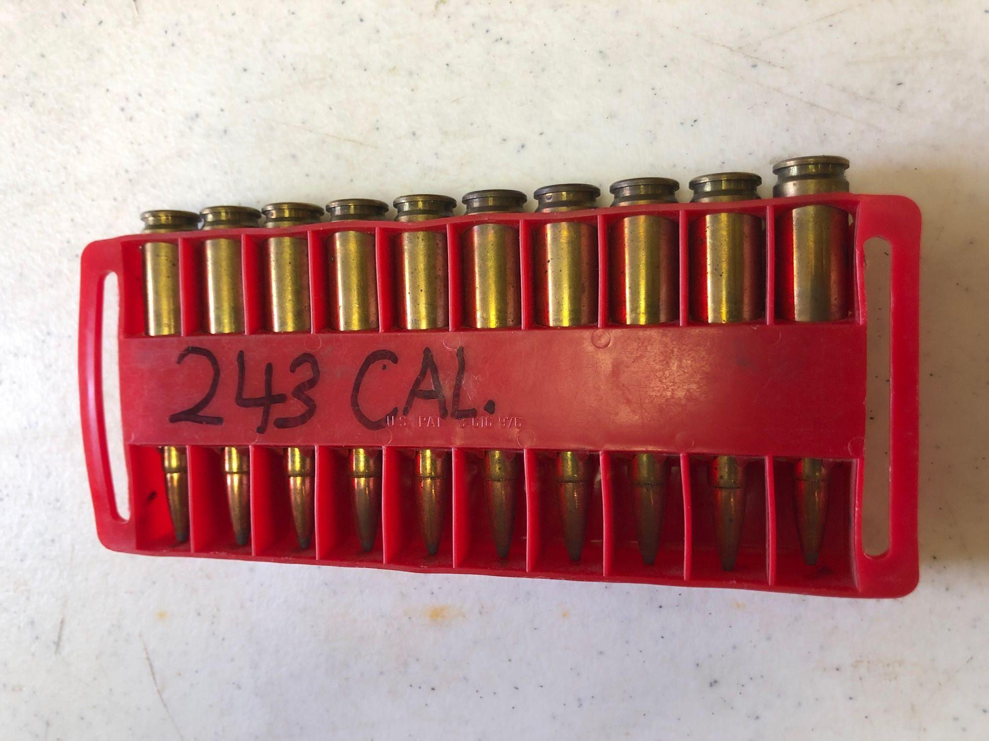 30-06, 20 ga. and 243 ammo and hand gun case.