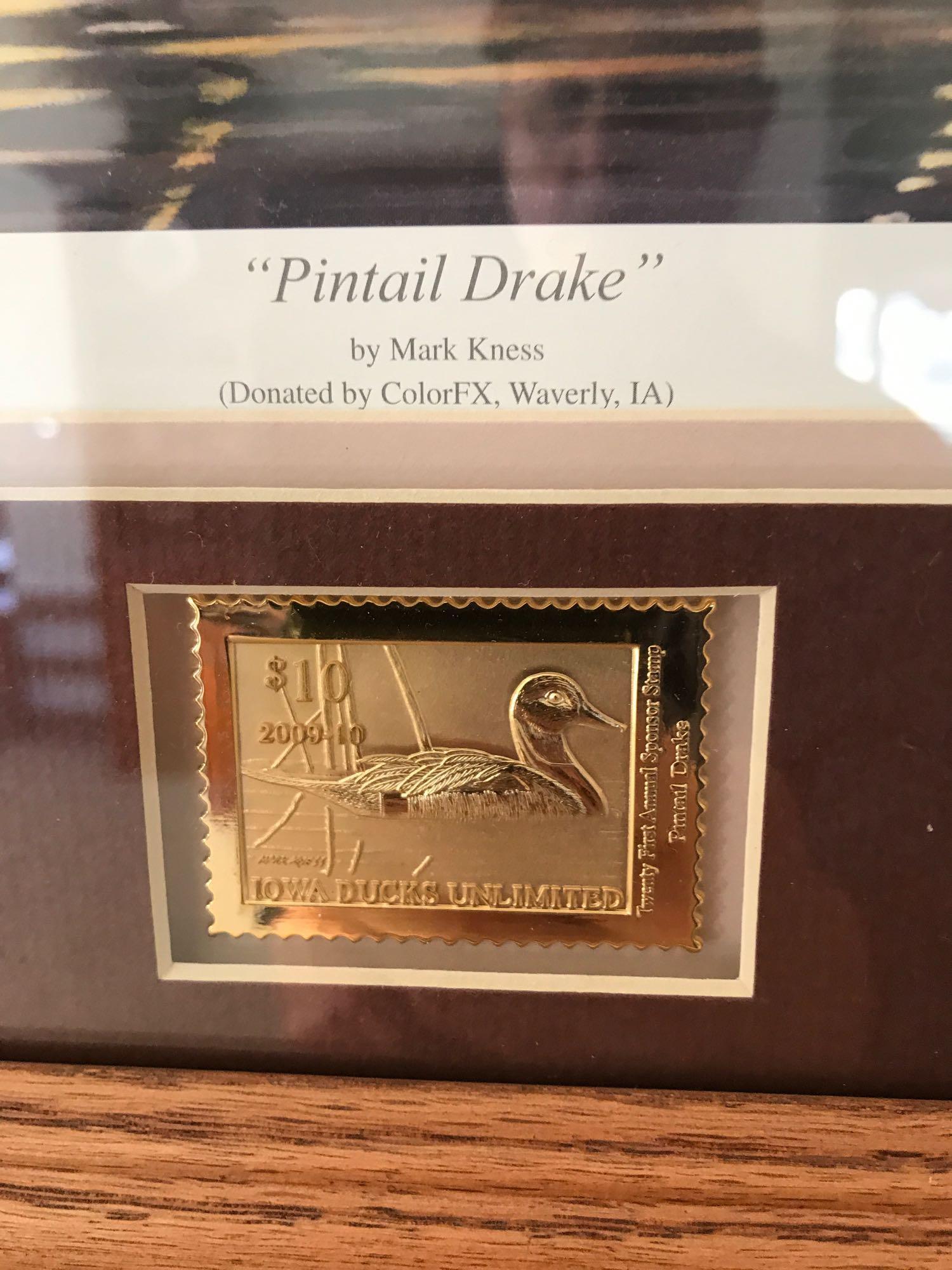Ducks Unlimited Framed Print w/Stamps "Pintail Drake" by Mark Kness 271/2200, 20.5''x 16''