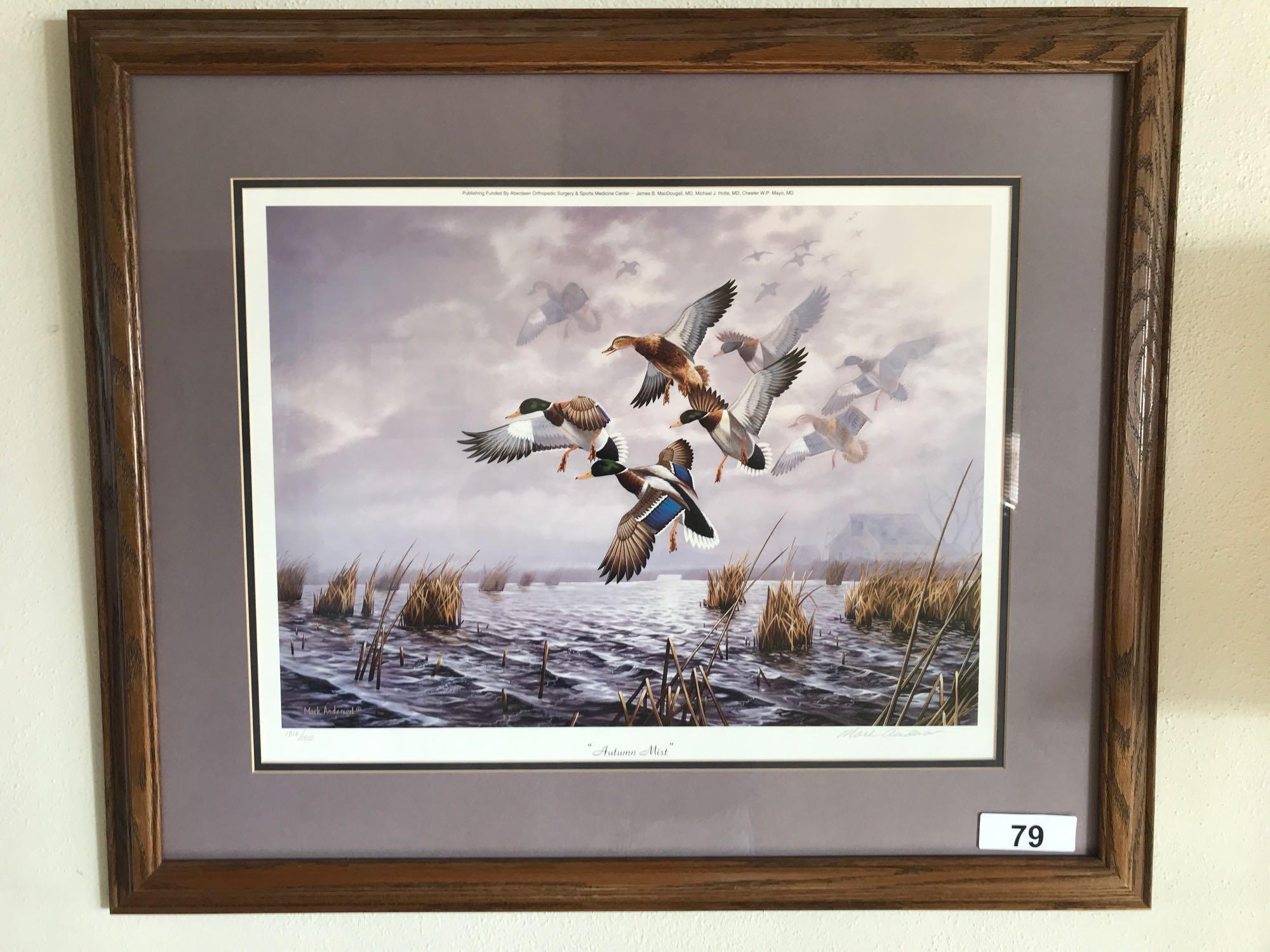 Framed Duck Print by Mark Anderson "Autumn Mist" 1312/1510, 29''x24''