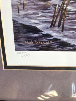 Framed Duck Print by Mark Anderson "Autumn Mist" 1312/1510, 29''x24''