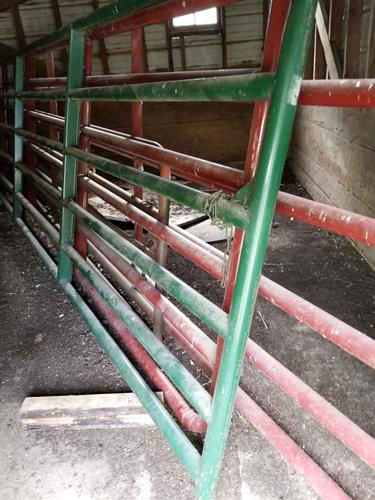 14' cattle gates