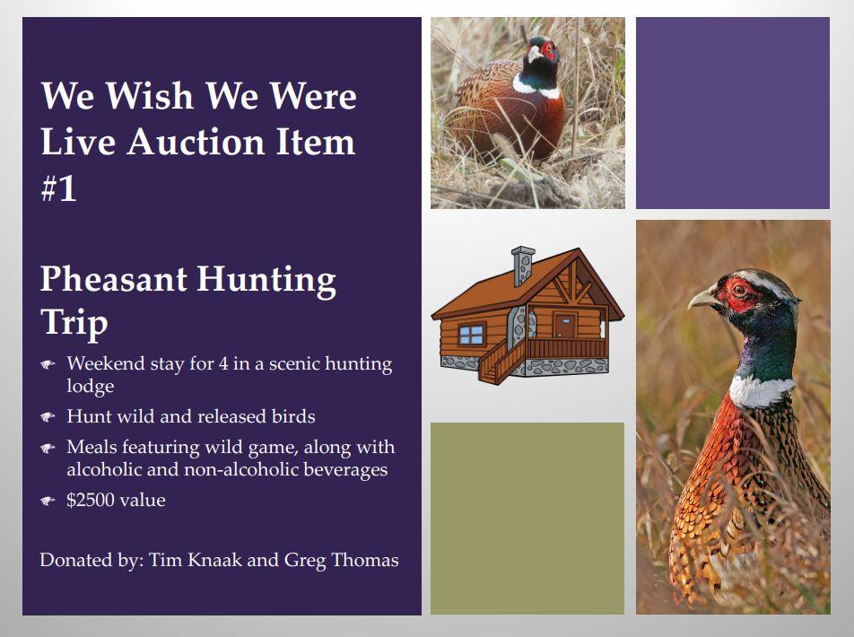 Pheasant Hunting Trip
