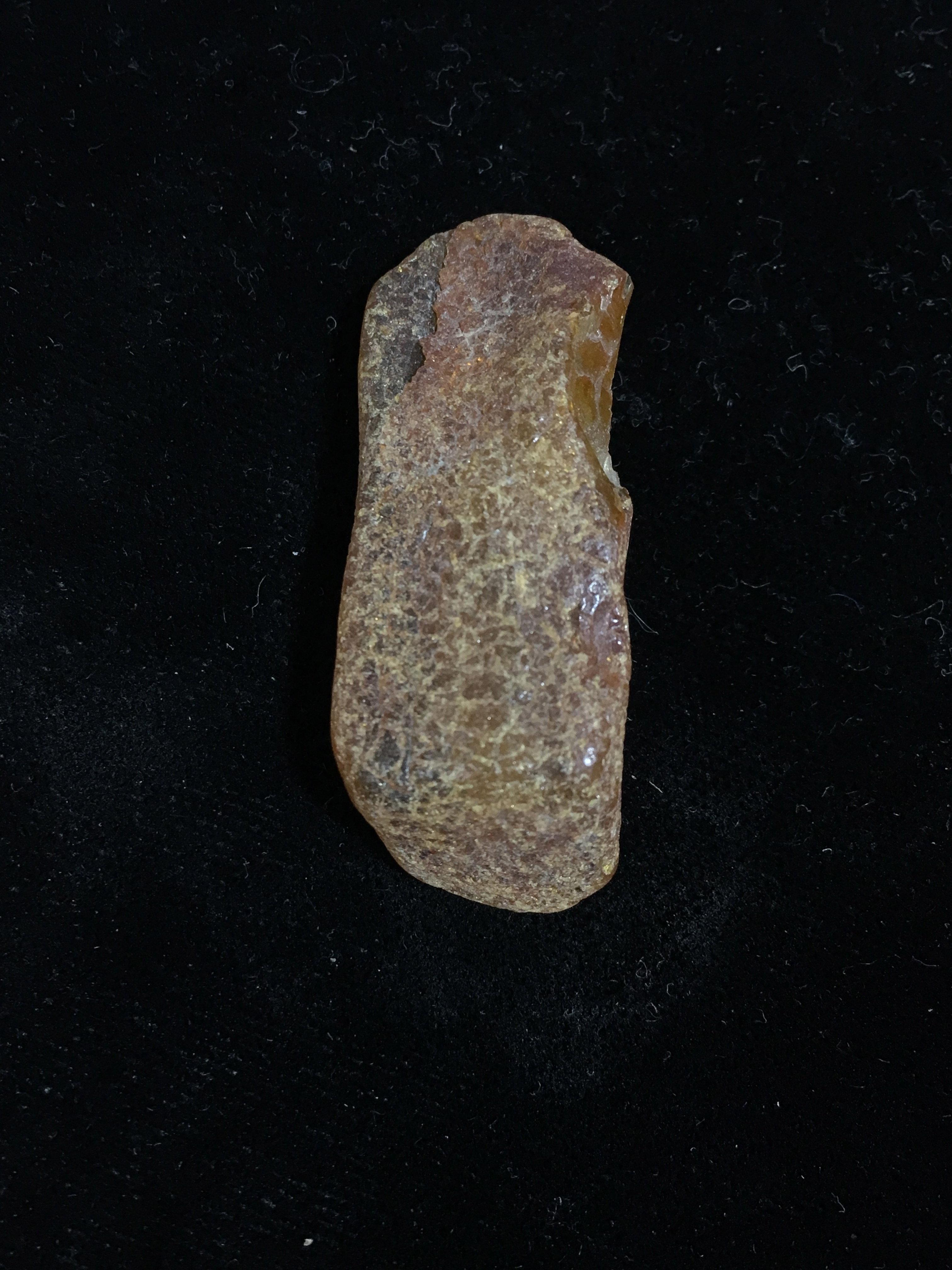 Unpolished Raw Polish Baltic Amber - 3.3 Grams