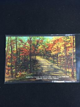 Vintage Unused Postcard - 1930's-20's Scenic Trail Through the Wooded Hills, Brown County State Park