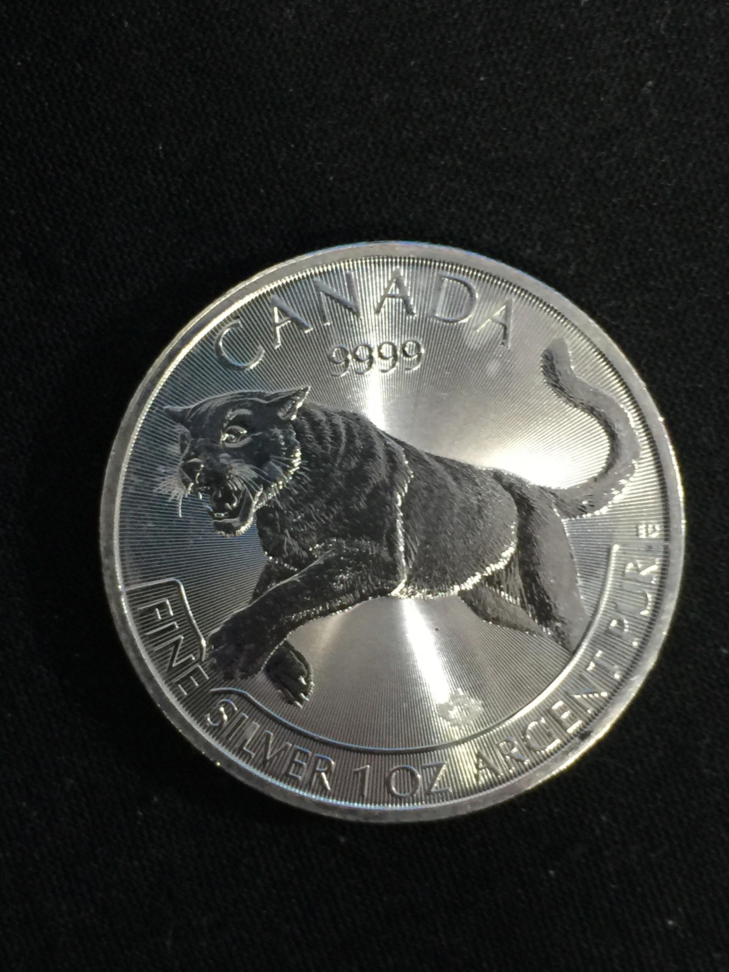 RARE 2016 Canadian $5 Cougar 1 Ounce .9999 Fine Silver Bullion Coin