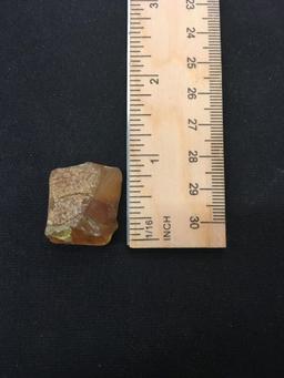 RARE Unsearched & Unpolished Authentic Baltic Amber - 3.3 Grams
