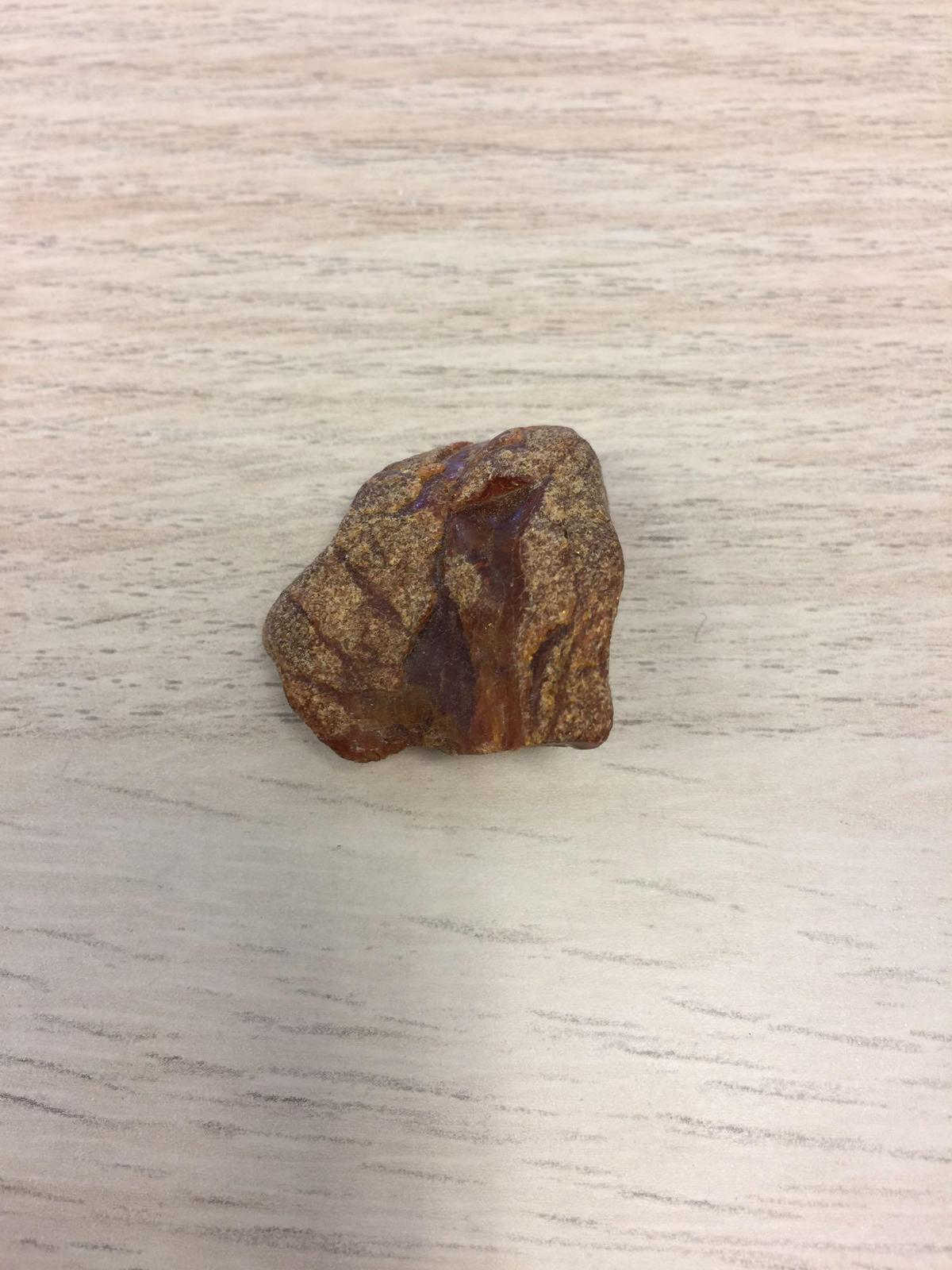 Unserached Baltic Amber Piece - 5.34 Grams