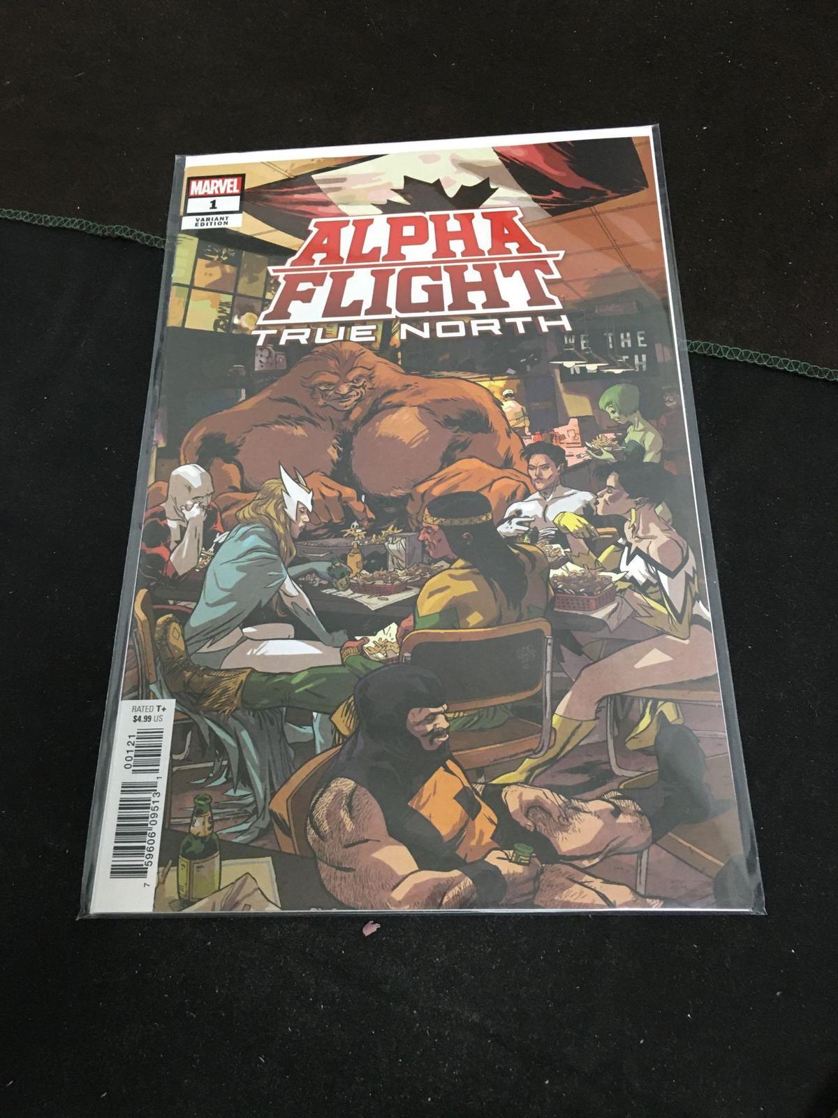 Alpha Flight True North Variant Edition #1 Comic Book from Amazing Collection