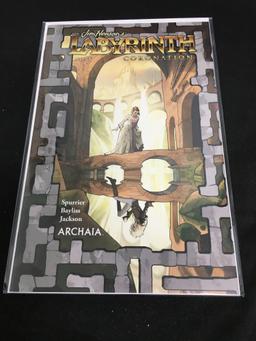 Labyrinth Coronation #3 Comic Book from Amazing Collection B