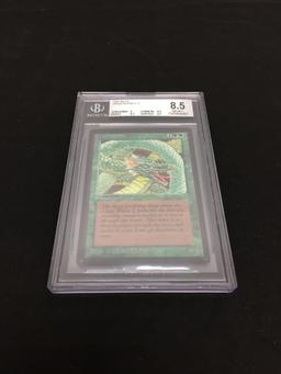 BGS Graded NM-MT+ 8.5 - MTG Magic the Gathering 1993 Beta Craw Wurm C G